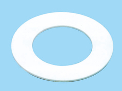 PTFE gasket