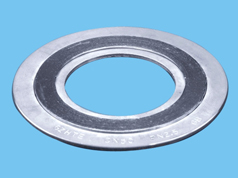 Expanded graphite filled spiral wound gasket