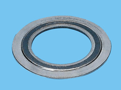 Expanded graphite filled spiral wound gasket - L