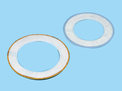 PTFE coated gasket