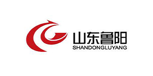 山东鲁阳集团